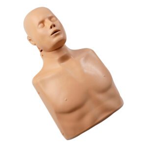 CPR Torso – Practi-Man Advanced